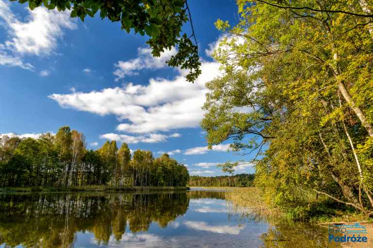 Фото: озеро и лес