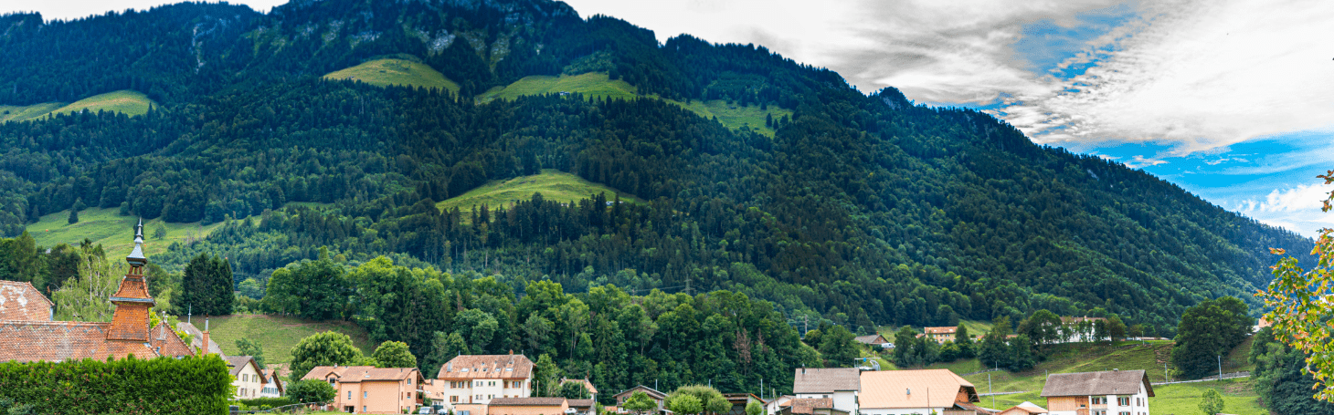 Панорама Брока