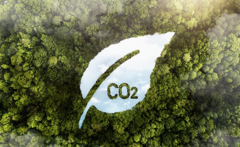 Поворот LAS изображение CO2