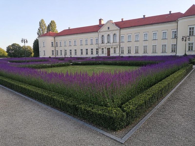 Pałac rodu von Hoym, atrakcja w pobliżu dworca Brzeg Dolny