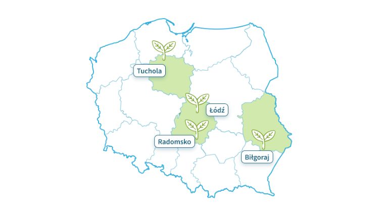 Поворот LAS провинции, где "евротрейд" сажает деревья