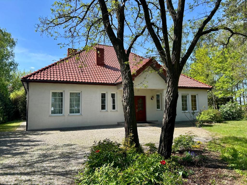 Villa Otolice obok Łowicza, 6 sypialni, balia, sauna, basen, snooker, 50 minut od Warszawy i Łodzi, жильё рядом с вокзалом Лович Главный