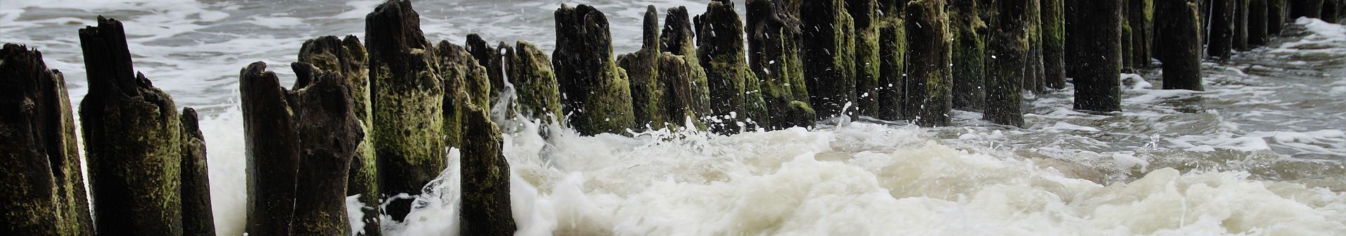 Билеты на поезд до морского побережья Пендолино - железнодорожные билеты