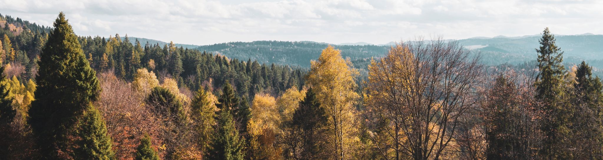 Панорама Крыницы