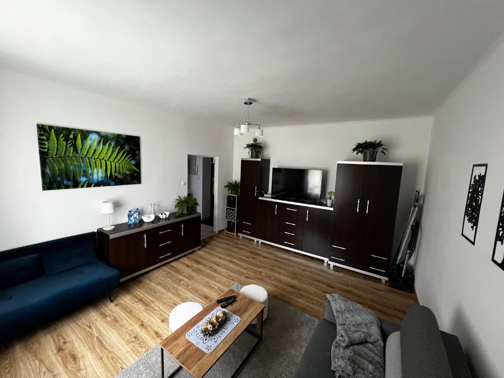 Apartament Paprotka, жильё рядом с вокзалом Скаржиско-Каменна
