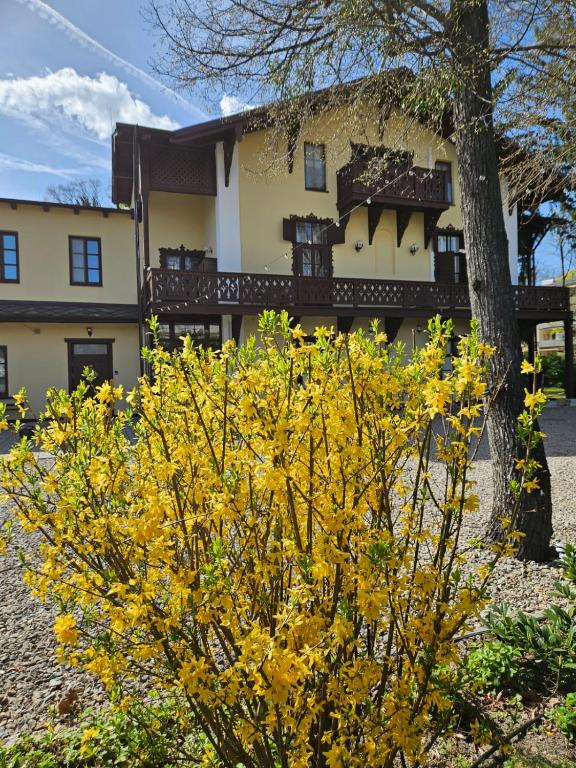 Villa Musik - apartments in historical Villa , Baden, жильё рядом с вокзалом Wien Hauptbahnhof