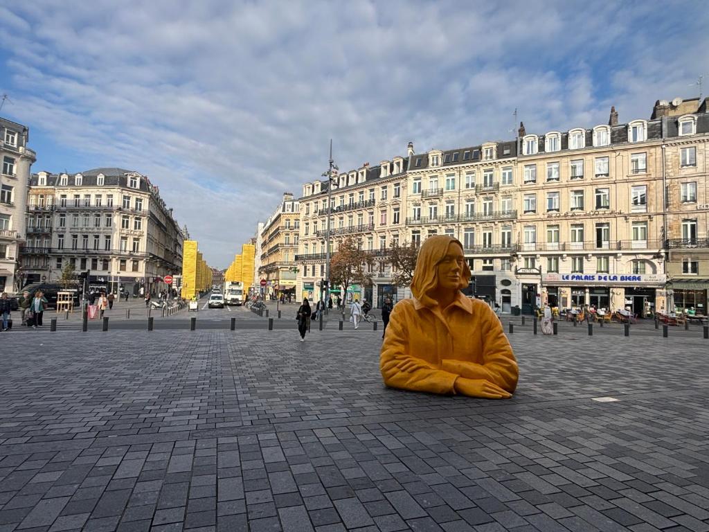 Studio en face de la Gare Lille Flandres, жильё рядом с вокзалом Lille Flandres