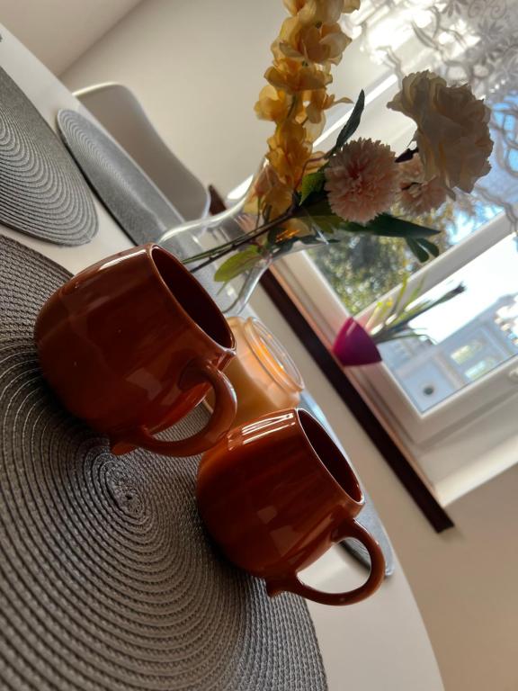 Apartament Wolności, жильё рядом с вокзалом Явожина-Слёнска