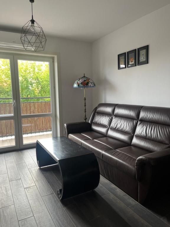 Apartament Jędrzejów, жильё рядом с вокзалом Енджеюв