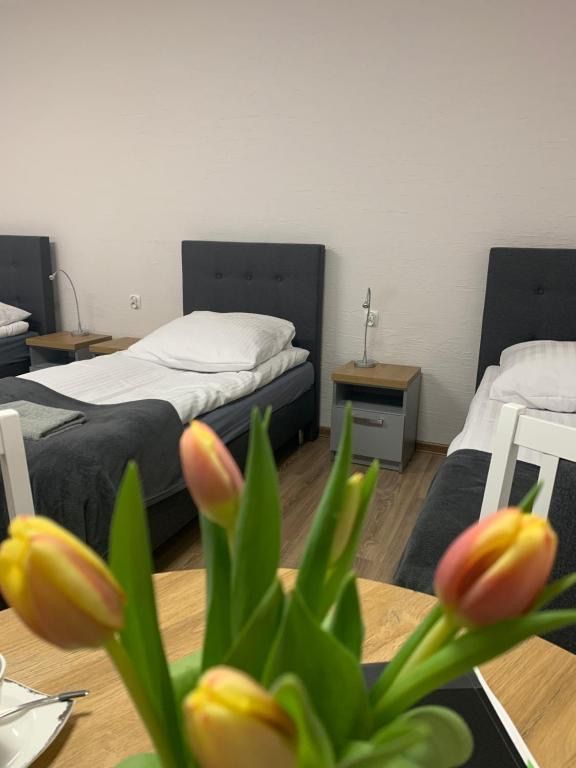 Hostel Adabet, жильё рядом с вокзалом Кемпно