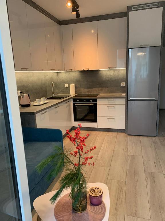 Apartament - Brzeska For You, жильё рядом с вокзалом Любин-Гурничи
