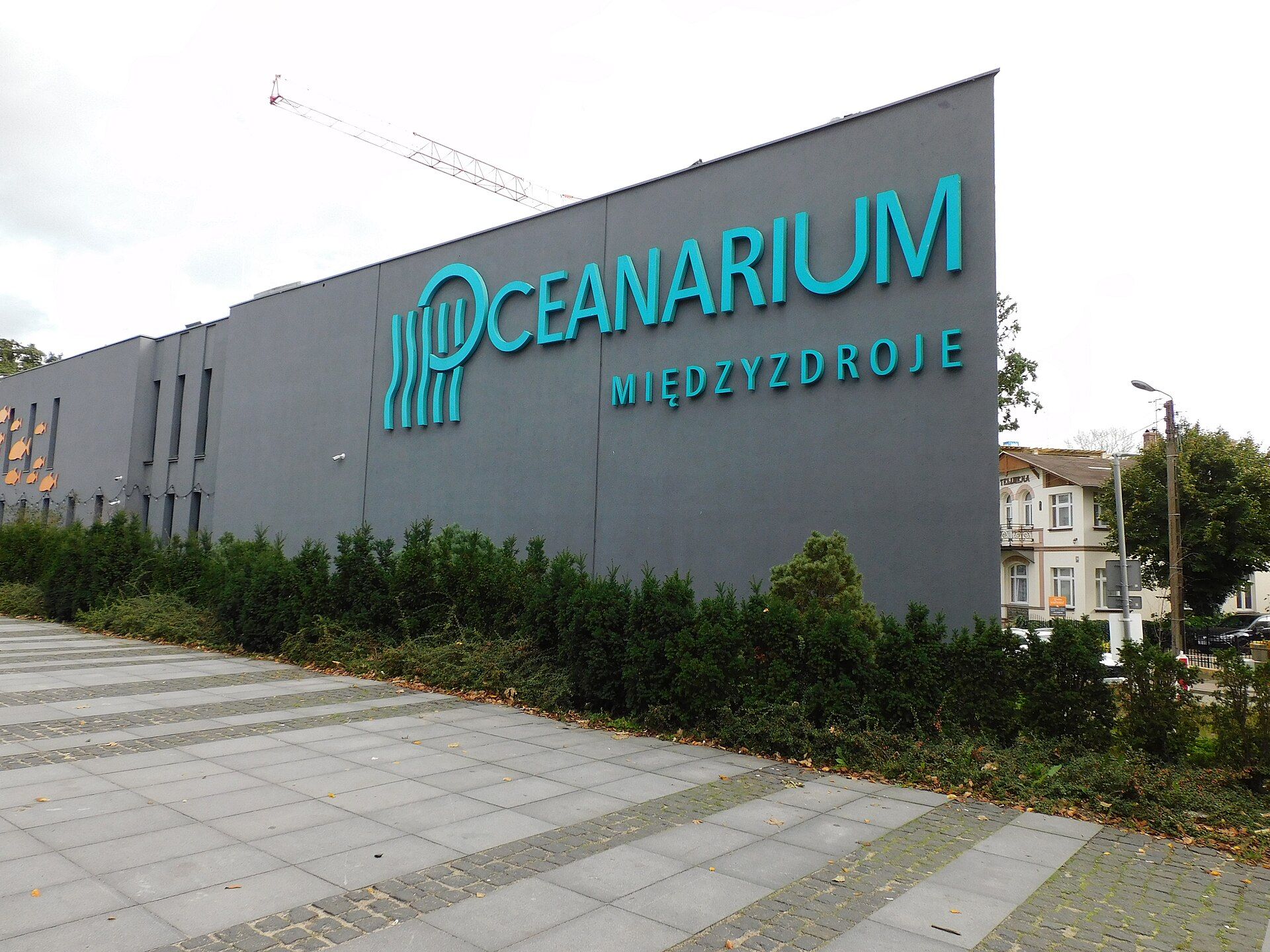Oceanarium Międzyzdroje, atrakcja w pobliżu dworca Międzyzdroje
