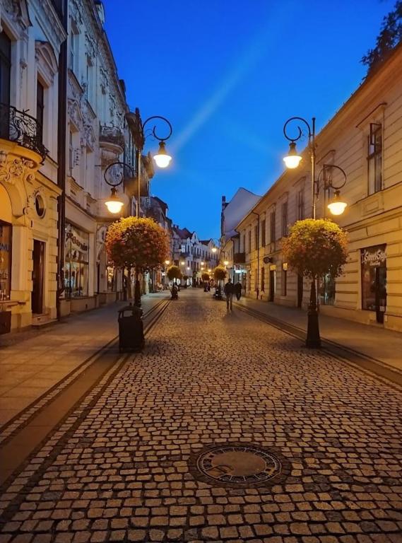 Apartament Starówka, жильё рядом с вокзалом Новы-Сонч