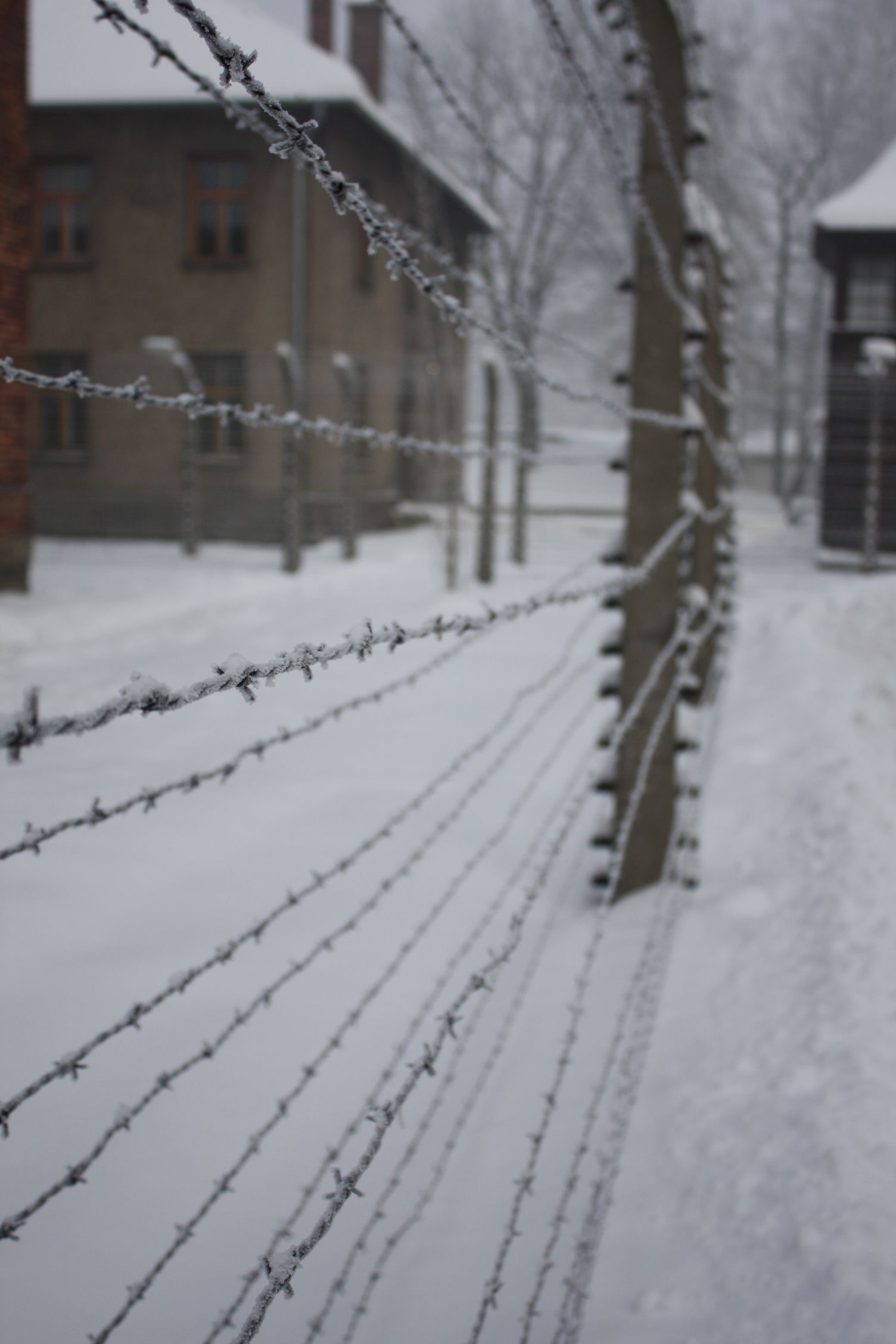 Miejsce Pamięci i Muzeum Auschwitz-Birkenau, atrakcja w pobliżu dworca Oświęcim