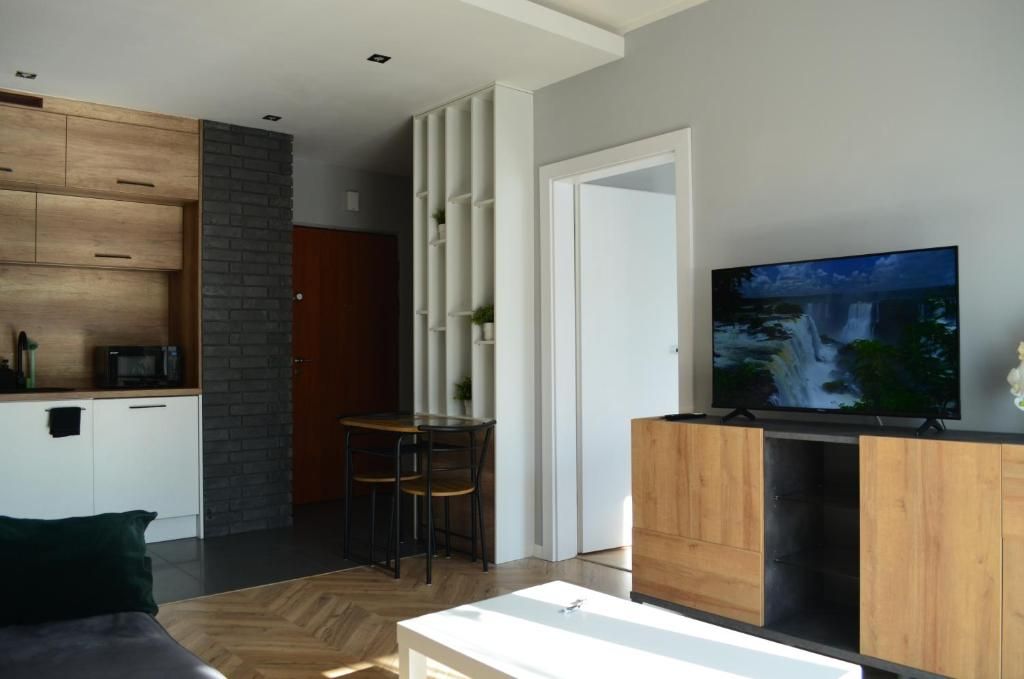 Apartment Sosnowiec City - Free Parking - easy check-in, жильё рядом с вокзалом Сосновец Главный