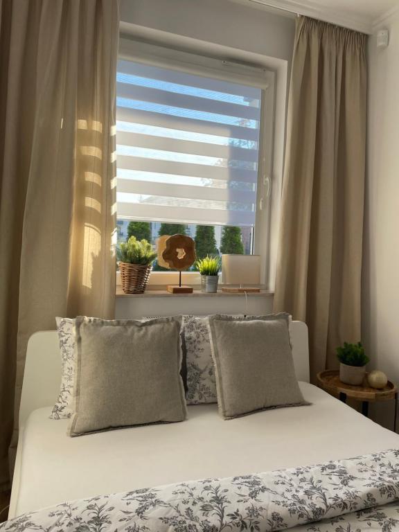 Apartament Stella Park, жильё рядом с вокзалом Старгард-Щециньский